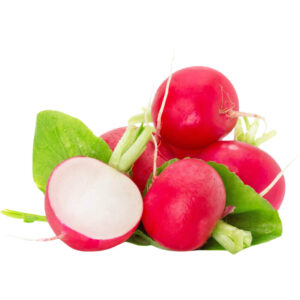 baby-radish