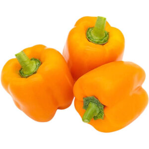 capsicum-orange-holland