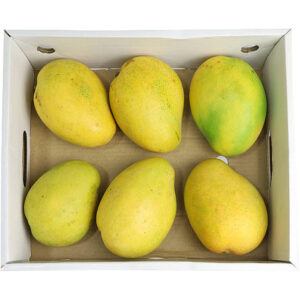 mango-badami-premium-box