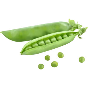 sugar-snap-peas-kenya