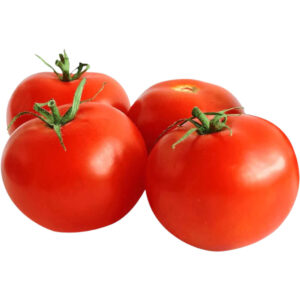 tomato-selected-big