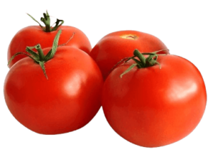 tomato-selected-big